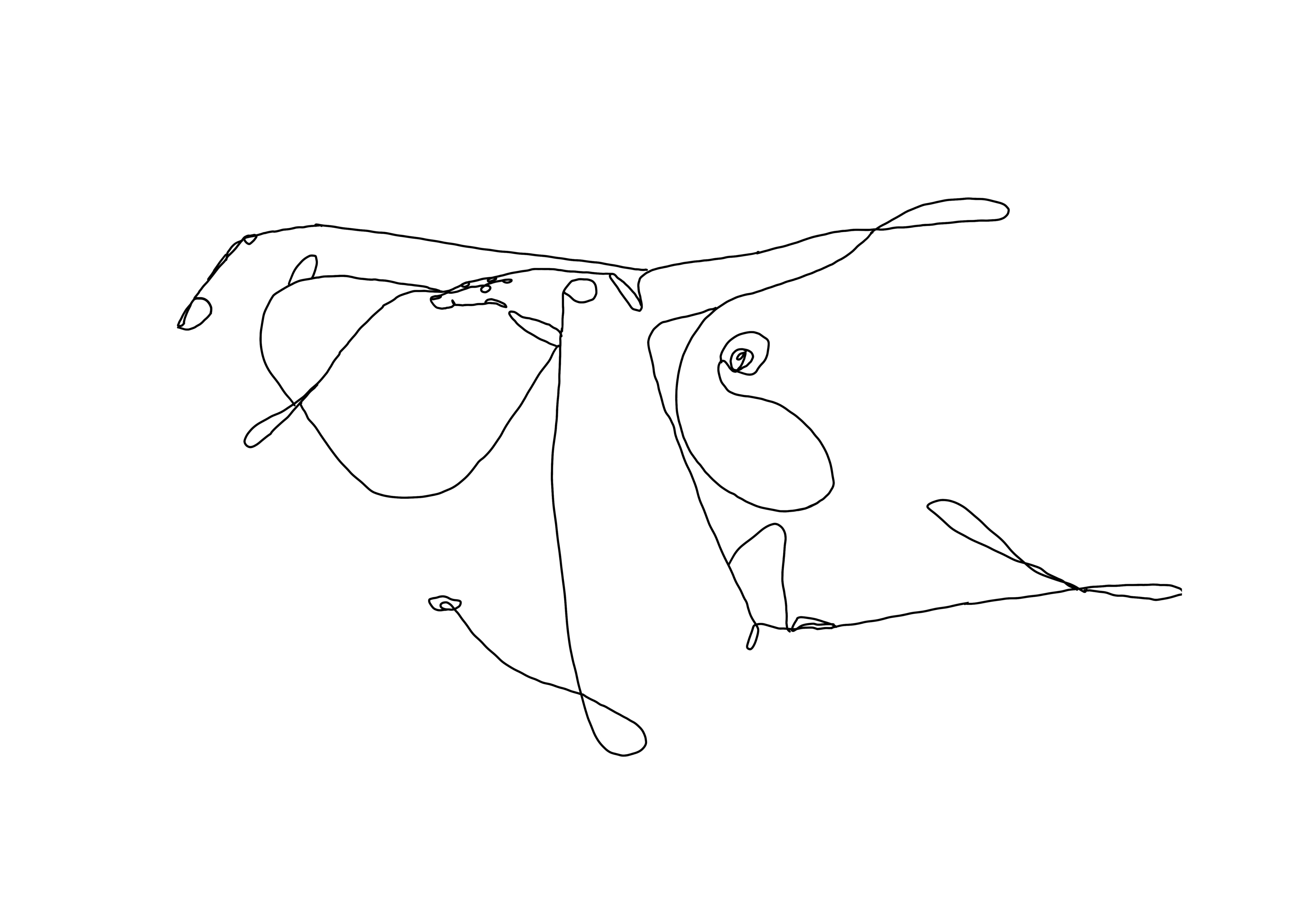 Commission Drawing Digital – Matter of Line