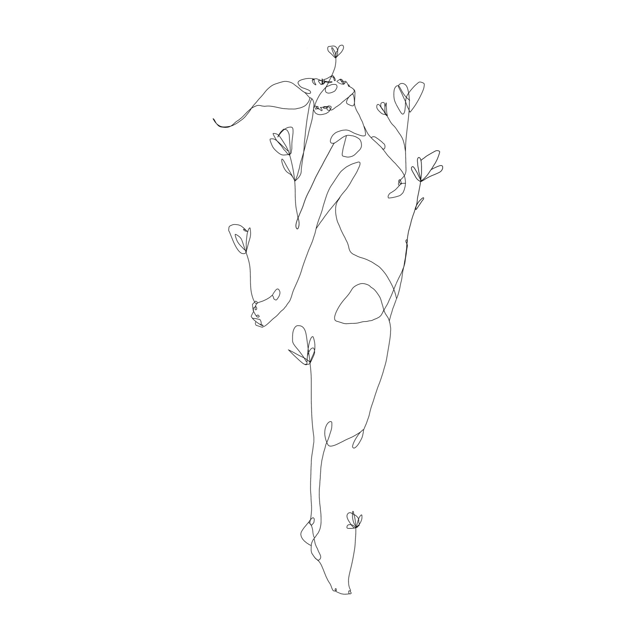 Commission Drawing Digital – Matter of Line
